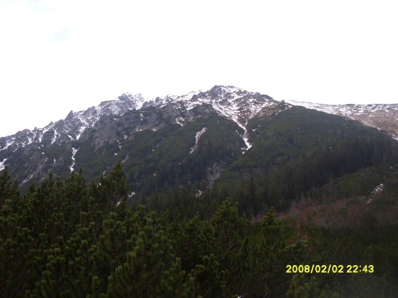 SDC11391.JPG