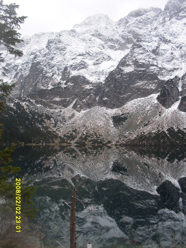 SDC11403.JPG