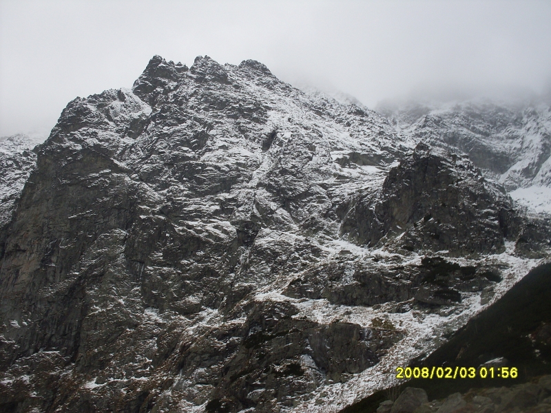 SDC11409.JPG