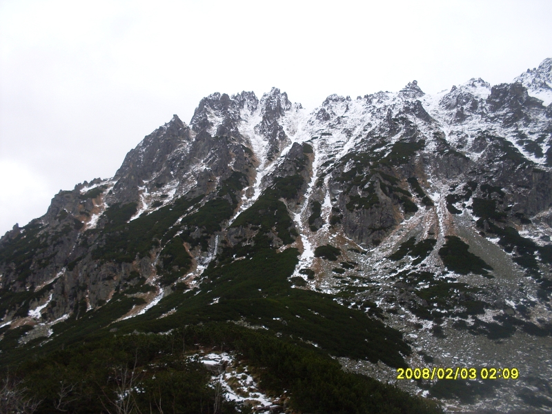 SDC11416.JPG