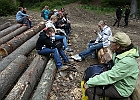 IMG 4754