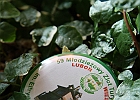 IMG 4757