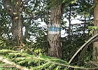 IMG 7124