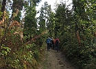 IMG 7134