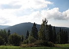 IMG 7192