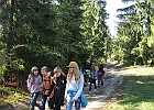 IMG 7208
