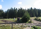IMG 7210